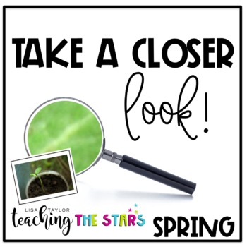 Preview of Spring Picture Observations | Google Slides