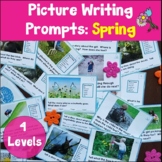 Spring Picture Writing Prompt Task Cards | Sentence Writing