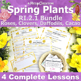 Spring Plant Flower 2nd Grade Nonfiction Reading Unit RI.2