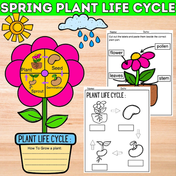 Preview of Plant Life Cycle Spring Craft Flower Activity Science Unit Weather Writing Craft