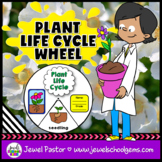 Spring & Plants Science Activities Life Cycle of Plants In