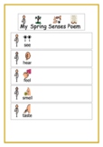 Spring Poem using the Five Senses with Visual Communication Board