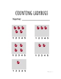 Summer Math- Counting with Insects