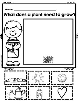 spring preschool worksheets by scribbles and scrabble tpt