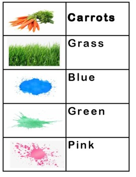 Preview of Spring Preschool Word Cards