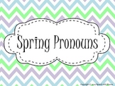 Spring Pronouns {Subjective, Objective, and Possessive}