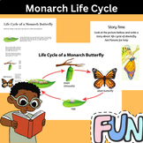 Spring Reading Butterfly Life Cycle - Butterflies Close Re