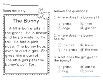 Spring Reading Comprehension Passages First Grade by Sarah ...