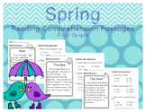 Spring Reading Comprehension Passages First Grade
