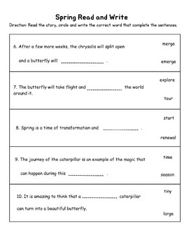 The Caterpillar's Flight - A Story Of Transformation