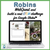 Spring Robin WebQuest & Build a Nest STEM Challenge for Us