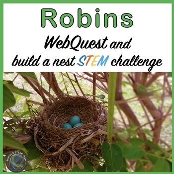 Preview of Spring Robin WebQuest and Build a Bird Nest STEM Challenge