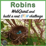 Spring Robin WebQuest and Build a Bird Nest STEM Challenge