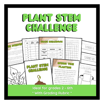 Preview of Spring STEM Challenge - Plants