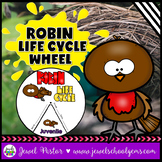Spring Science Activities | Robin Animal Life Cycle Craft 