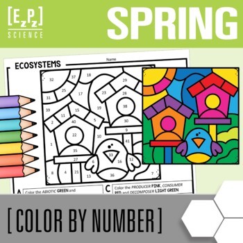 Spring Science Color by Number | Ecosystems Holiday Coloring Activity