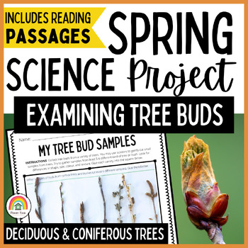 Preview of Spring Science: Examining Tree Buds, Seasonal Nature Activity & Reading Passages