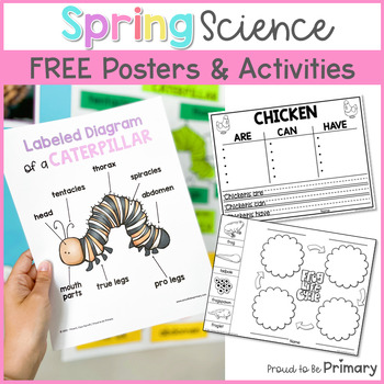 Preview of Spring Science Writing Activities - Caterpillar, Butterfly, Frog Life Cycle