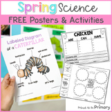 Spring Science Writing Activities - Caterpillar, Butterfly