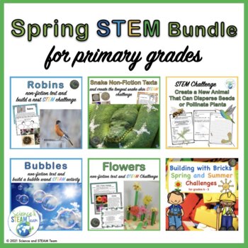 Preview of Spring Science and STEM Activities