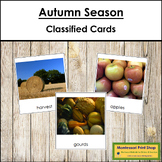 Autumn Season - Montessori 3-Part Cards - Vocabulary, ESL