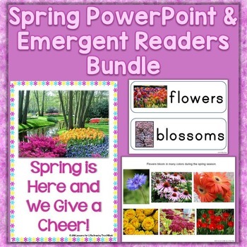 Preview of Spring Season PowerPoint & Emergent Reader Bundle