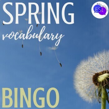 Preview of Spring Vocabulary BINGO for Adult ESL