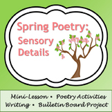 Spring Poetry: Sensory Detail Poems, Activity, & Bulletin 