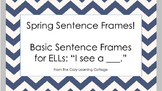 Spring Sentence Frames
