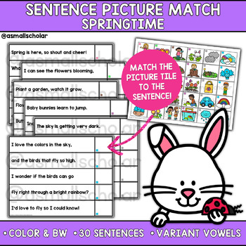 Preview of Spring Sentence Picture Match - Variant Vowels Sentences Rhyming Reading Fluency