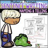 Spring Sentence Structure - Naming and Telling Parts of a 