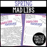 Spring Mad Libs Grammar Activity to Practice Parts of Speech
