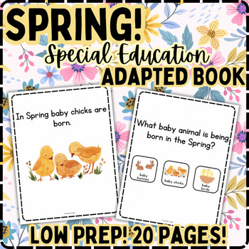 Preview of Spring! Special Education Adapted Book with Comprehension