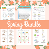 Spring® Spring Bundle® Math - Lesson Plan - Fractions & More.