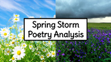 Spring Storm Poetry Analysis (Google Slide Presentation an