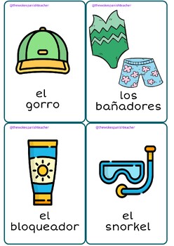Preview of Spring/Summer Illustrated Vocabulary Cards