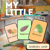 Spring & Summer Vegetable Garden Cards Preschool Digital R
