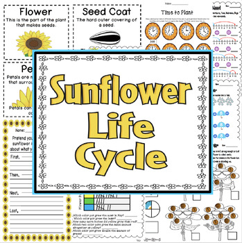 Preview of Spring Sunflowers Plant Life Cycle: Science, Math, Literacy & Hands on Crafts