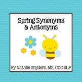 Spring Synonym and Antonym Activities