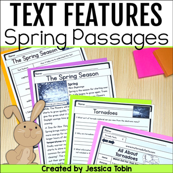 Preview of Spring Reading Comprehension Passages and Question 2nd 3rd Grade Text Features