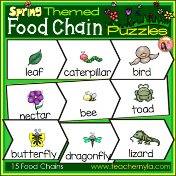 Preview of Garden Food Chain Puzzles