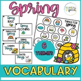Spring Themed Receptive and Expressive Vocabulary Cards an