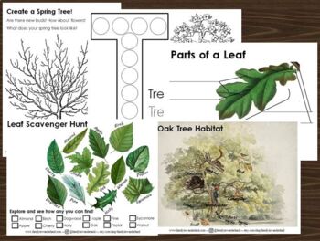 Preview of Spring Tree Nature Study Mini Unit Printables