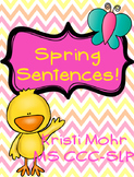 Spring Verbs/ Sentences