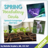 Spring Vocabulary Cards Freebie - for SLPs