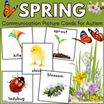 Preview of Spring Vocabulary Flashcards with Real Pictures Autism Visuals Cards Sped