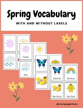 Preview of Spring Vocabulary Flashcards - With and Without Labels