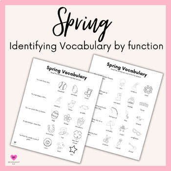 Preview of Spring Identifying Objects by Function Worksheets