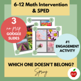 Spring Which One Doesn’t Belong? Math Activity