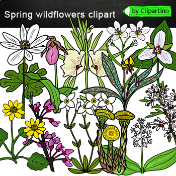 Preview of Spring Wildflowers Clip Art commercial use